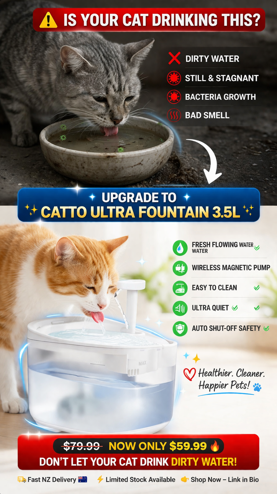 🐾 Catto Ultra Fountain 3.5L – Smart Hydration for Pets